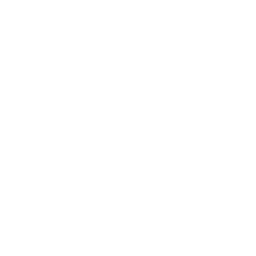 lanイラスト